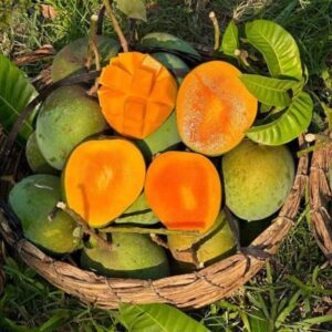 গোবিন্দভোগ আম - ৫ কেজি